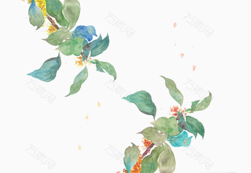 彩绘桂花花瓣图片素材
