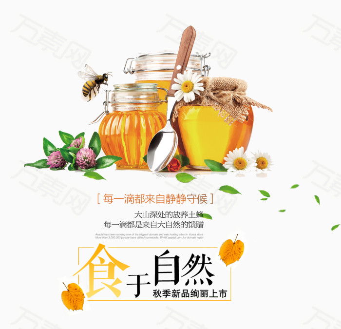 蜂蜜 蜂蜜促销 促销海报 天然 营养