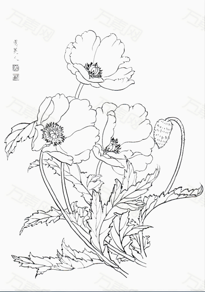 花朵线稿