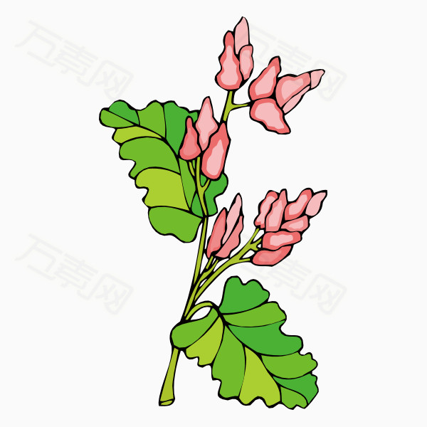 卡通手绘花卉植物