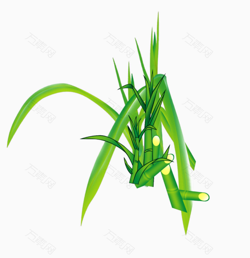 手绘甘蔗