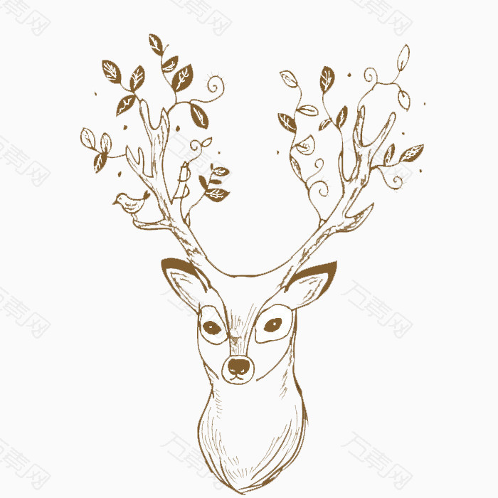 角长树叶的公鹿图片素材