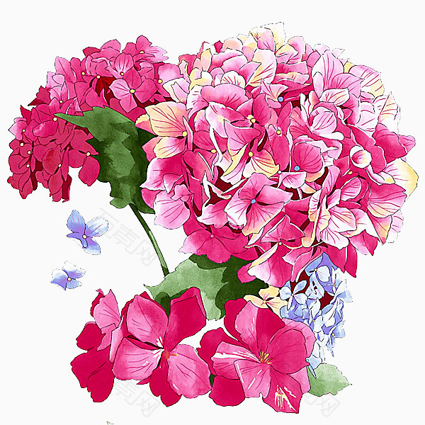 花卉花团锦簇花朵手绘免抠元素图片-元素素材387321
