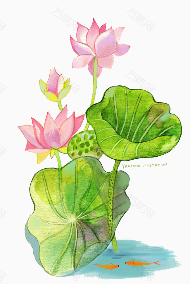 卡通手绘荷花荷叶