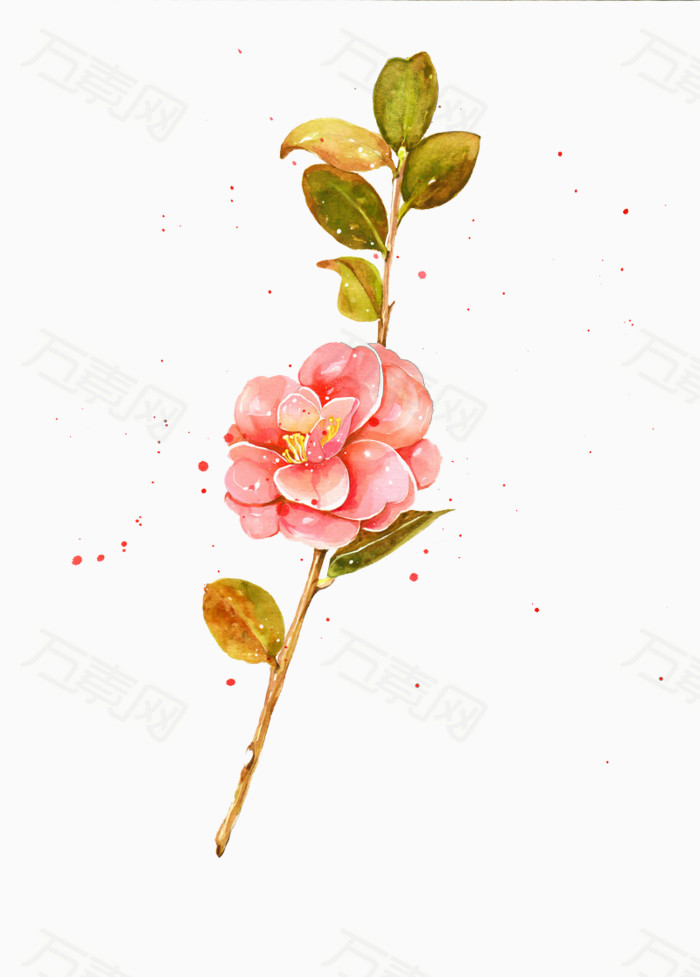 植物  花朵  花枝  绿叶  矢量素材   植物 花朵 花枝 绿叶 手绘