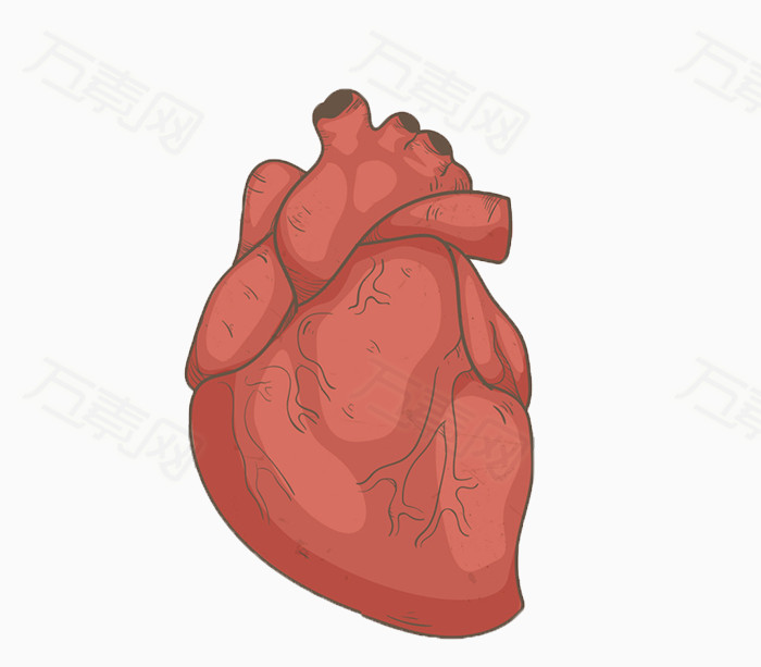 手绘人体心脏图片免费下载_卡通手绘_万素网
