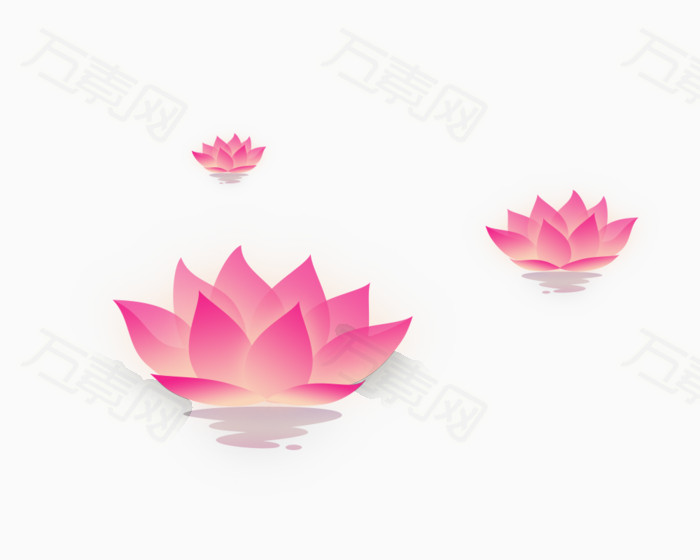 手绘 莲花 睡莲      