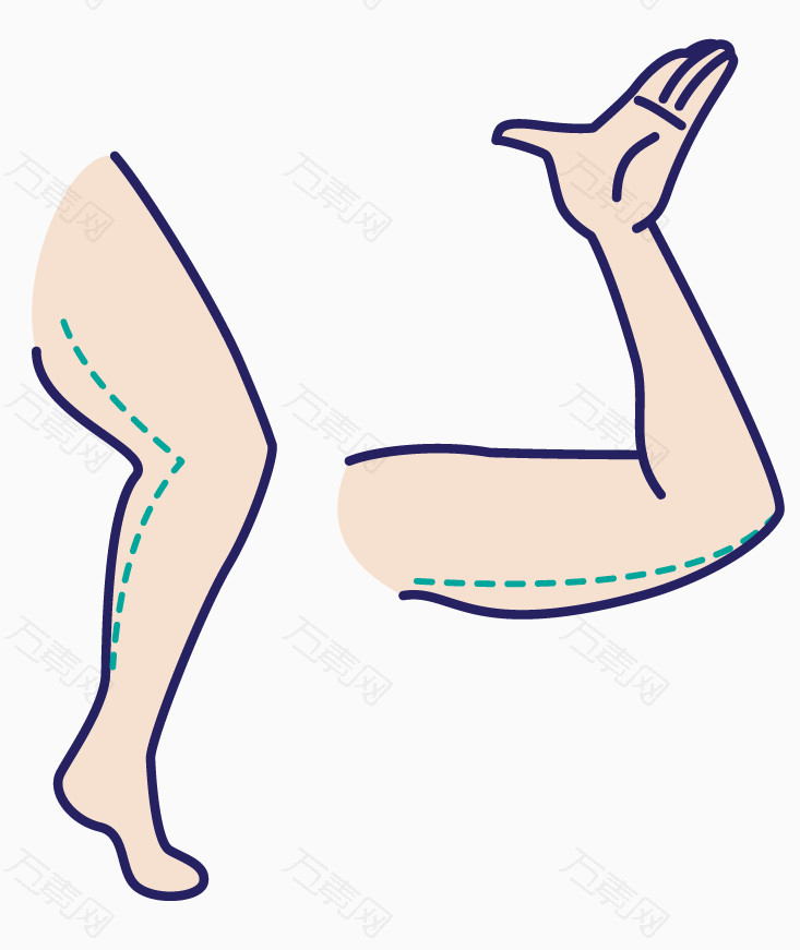 矢量人体局部腿胳膊