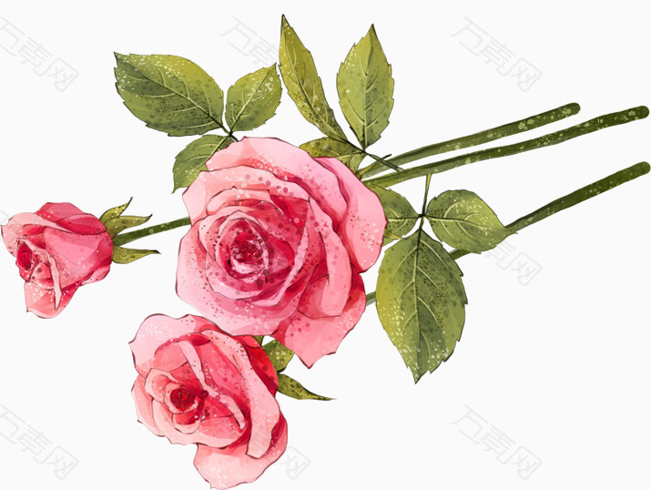 三枝玫瑰花