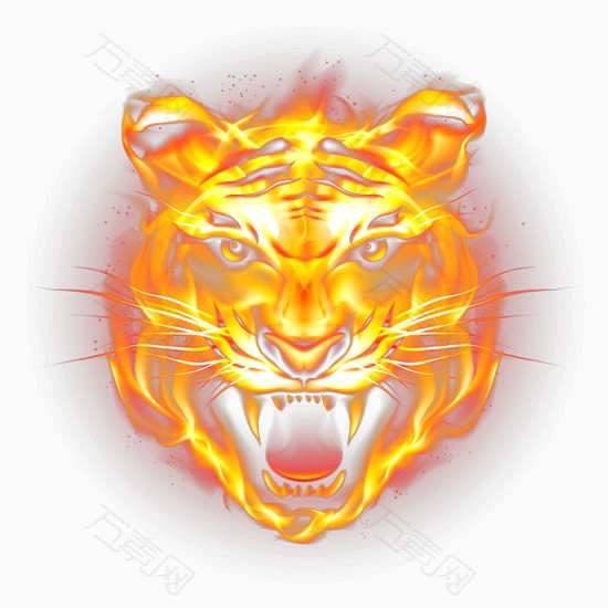高清凶猛火焰虎头图片