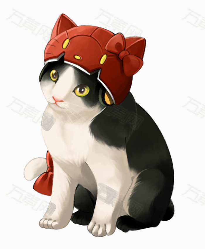 带kt帽子的猫咪