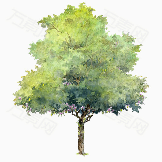 手绘树木元素树木背景