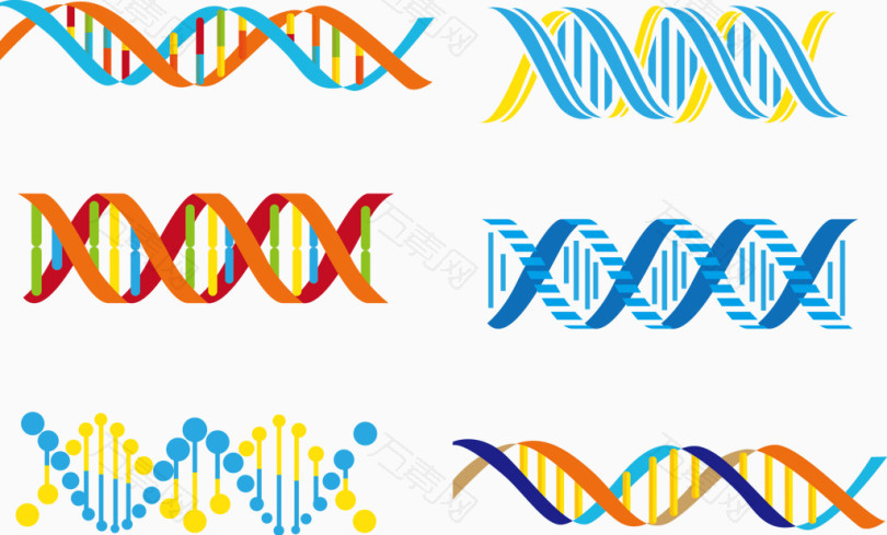 矢量图dna示意图