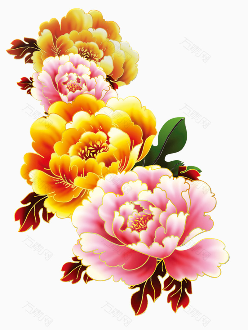 富贵牡丹_花卉植物_800*1064px_编号203980_png格式