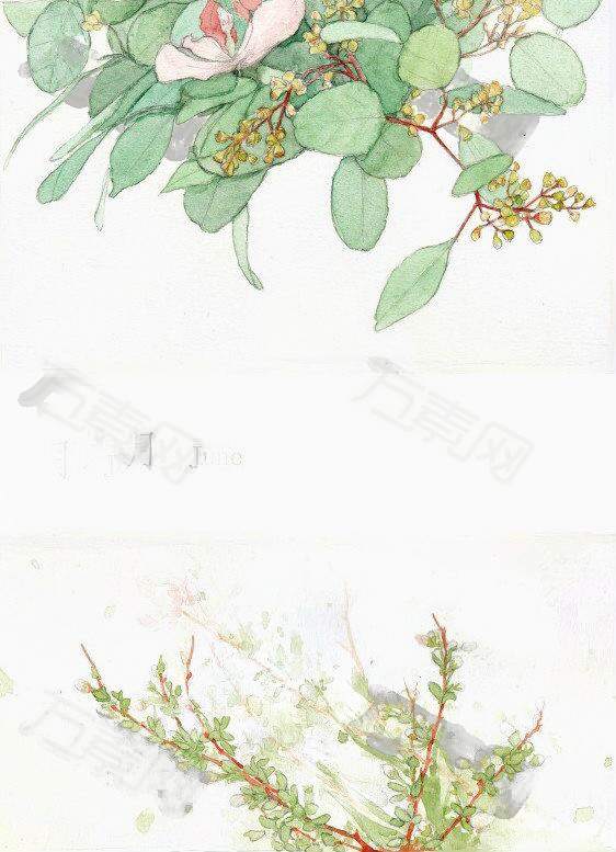 水彩植物  梦幻 春夏 绿色   