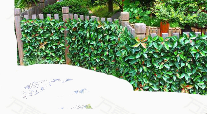 围墙护栏绿植墙