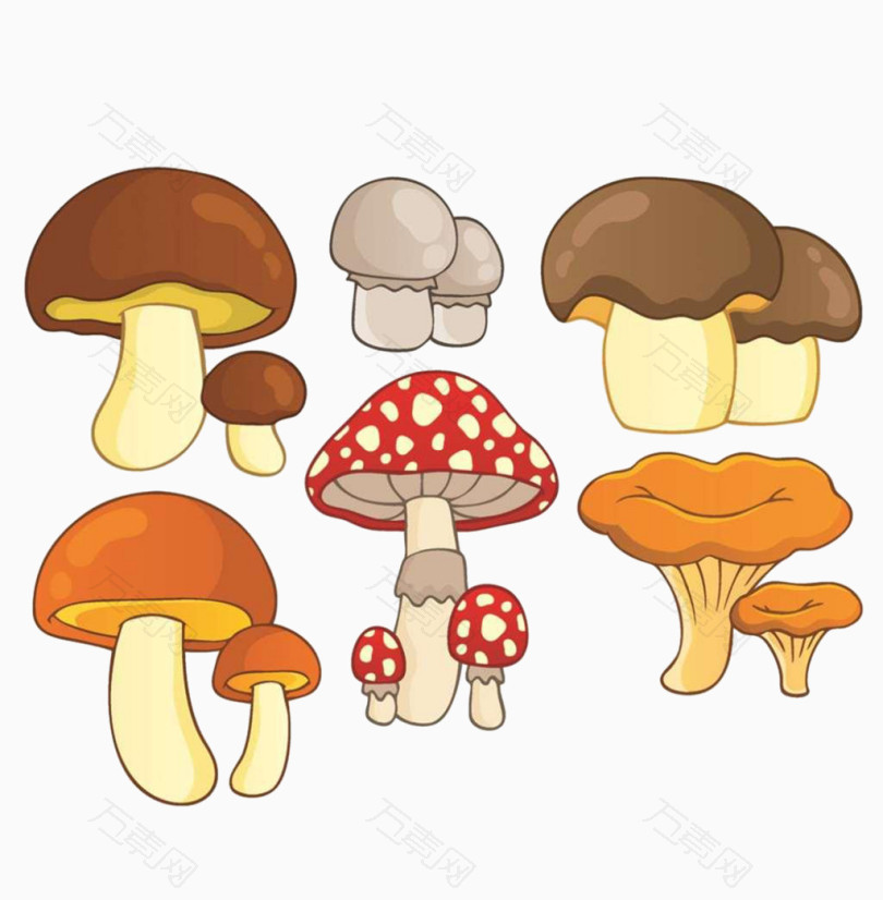 卡通蘑菇 多个手绘蘑菇