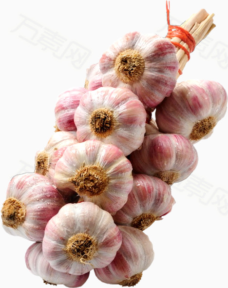 漂亮大蒜串