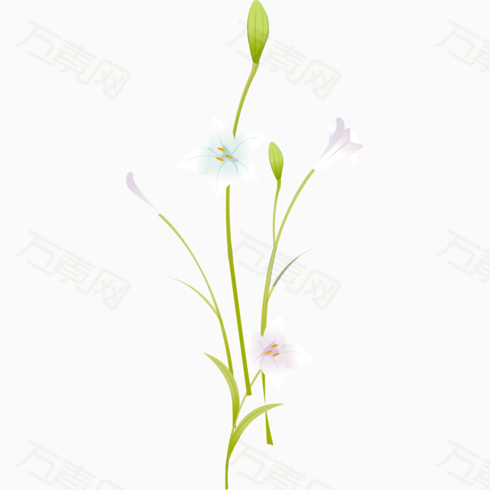 淡雅绿花图片免费下载_其他_万素网