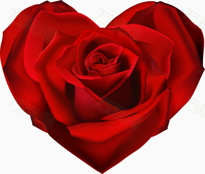 红色玫瑰花心形图案