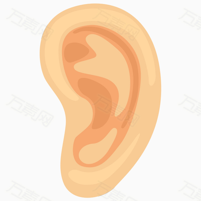 耳朵素材
