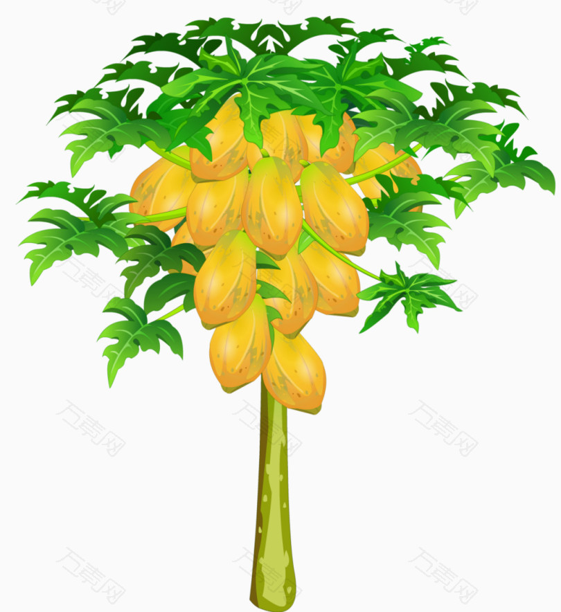 ͨľ