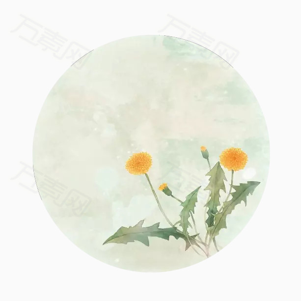 圆形白色背景素材
