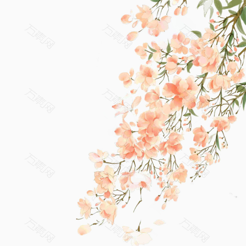 橘色花朵绘画免抠素材