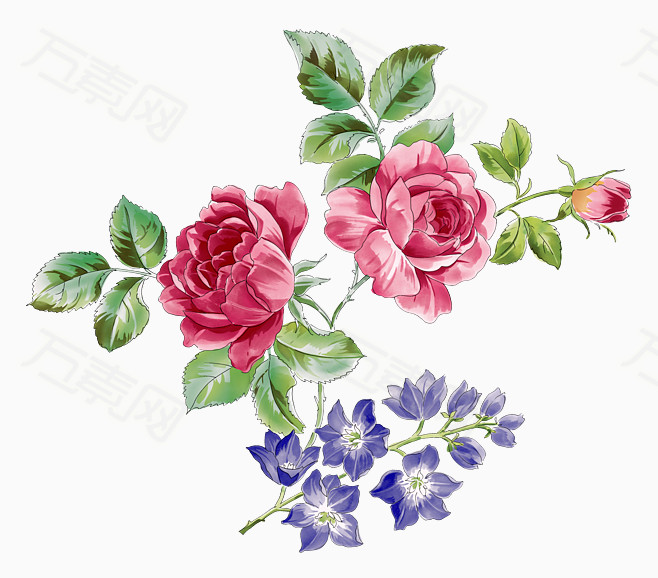 花朵 花 牡丹 紫色的花 水彩手绘 花草 春天 百花争艳