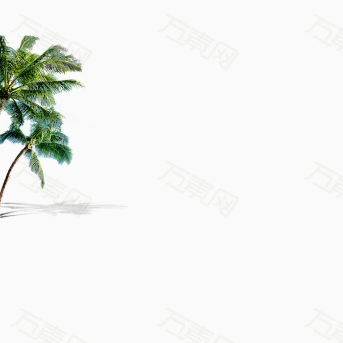 椰树 树叶 背景元素 背景图