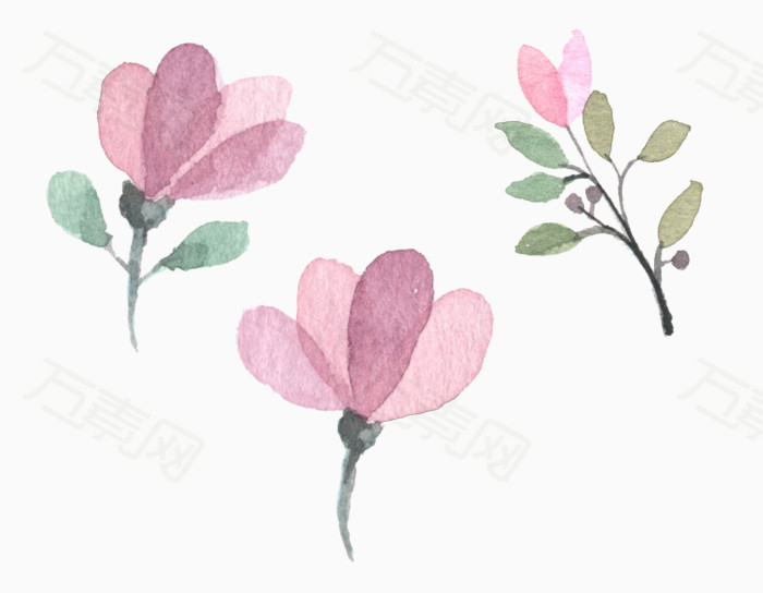 万素网 素材分类 水彩粉色花朵  3188     
