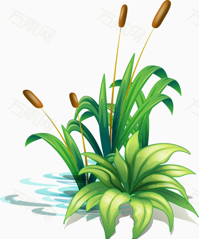 绿色水草图片免费下载_卡通手绘_万素网