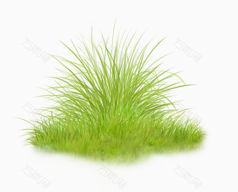 绿色的小草  图片素材详细参数: 编号2917284 分类装饰元素 颜色模式