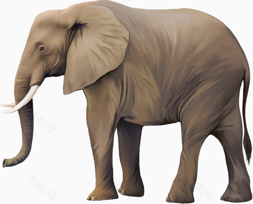 动物 大象矢量素材(2)  图片素材详细参数: 编号352604 分类动物 颜色