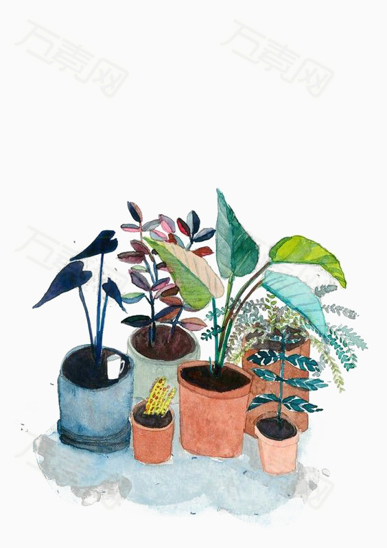 手绘盆栽