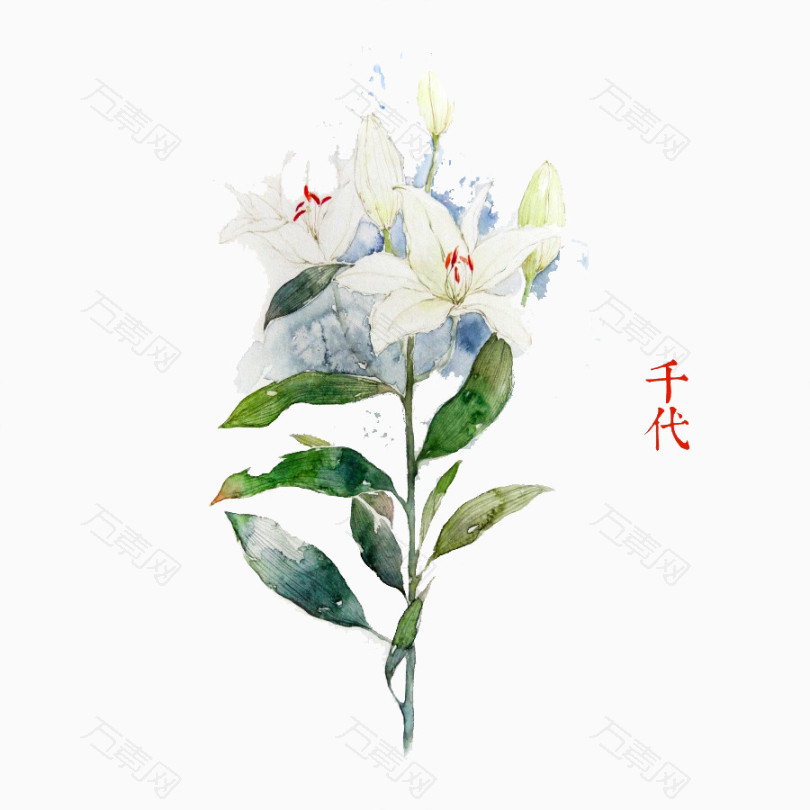 唯美水彩手绘鲜花