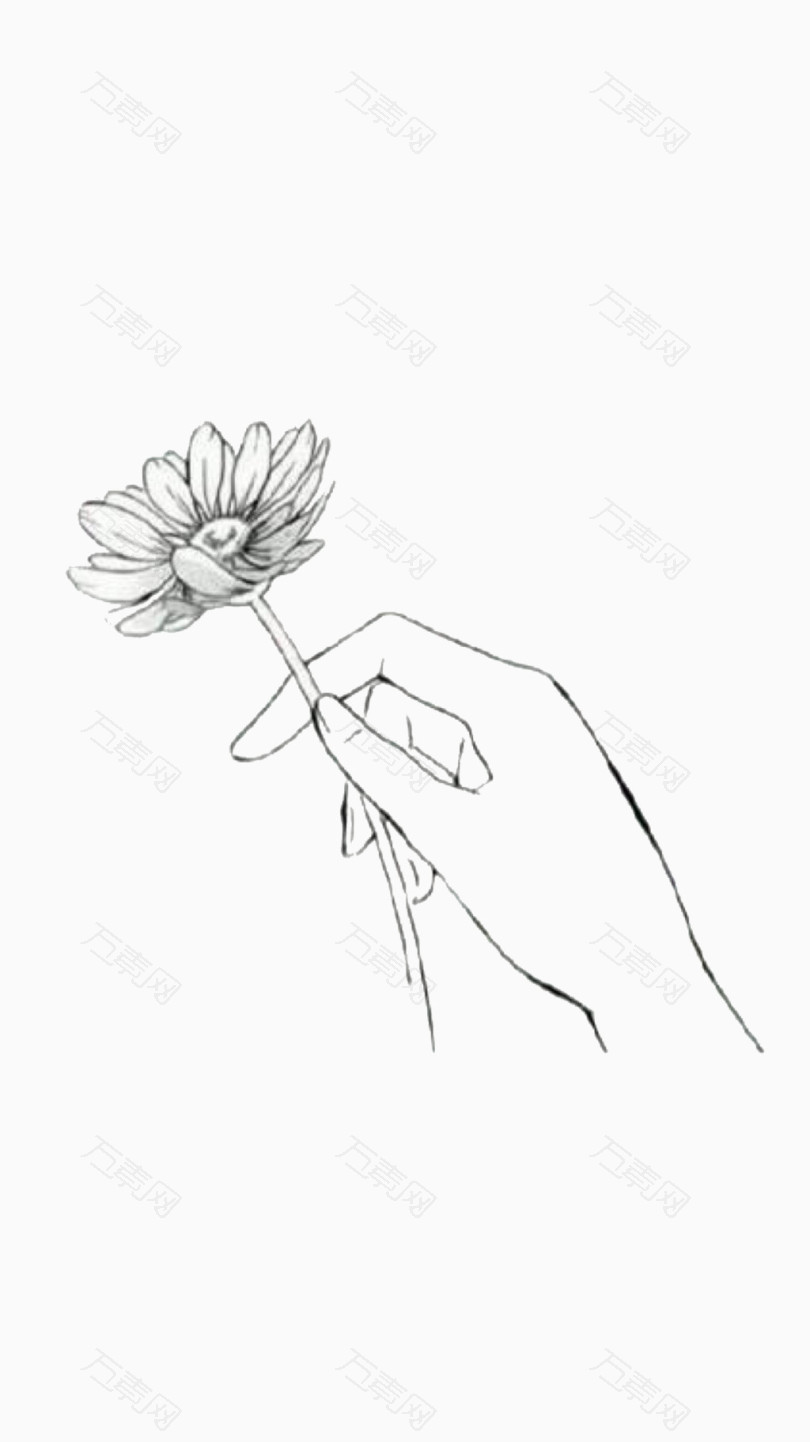 握着一朵花的手简笔图