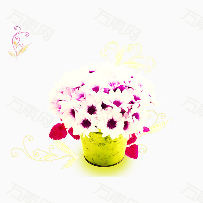 小花 菊花