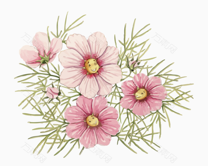 矢量小雏菊_卡通手绘_1500*1195px_编号379525_png