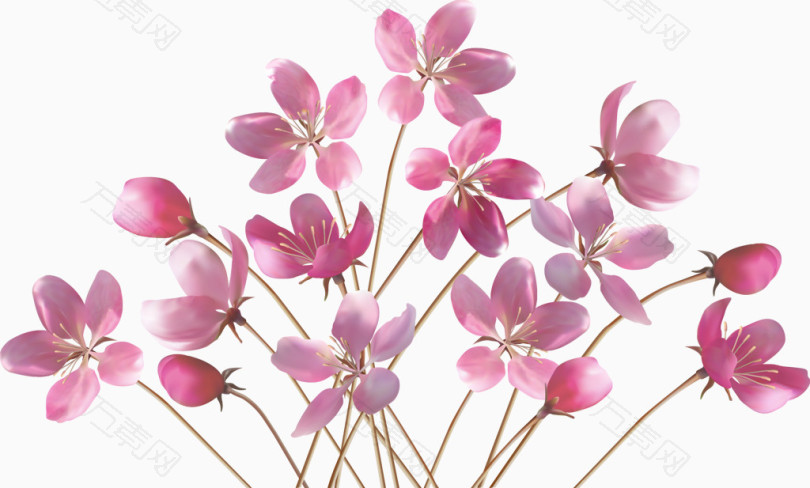 一簇粉红色花朵