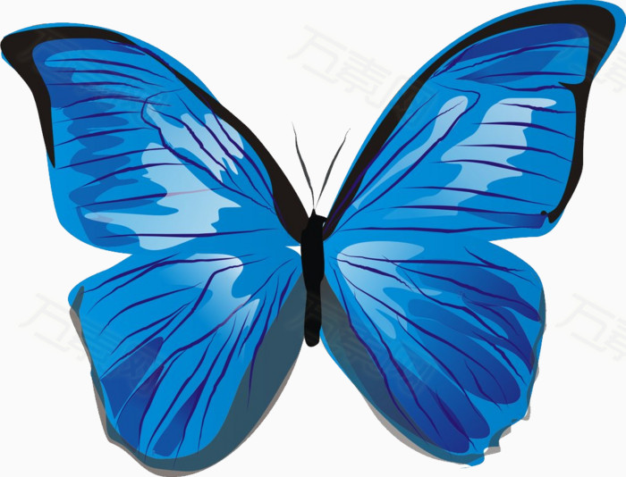 蓝色的蝴蝶图片免费下载_装饰元素_万素网
