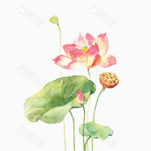 水彩荷花免抠元素图片_元素素材256781_万素网