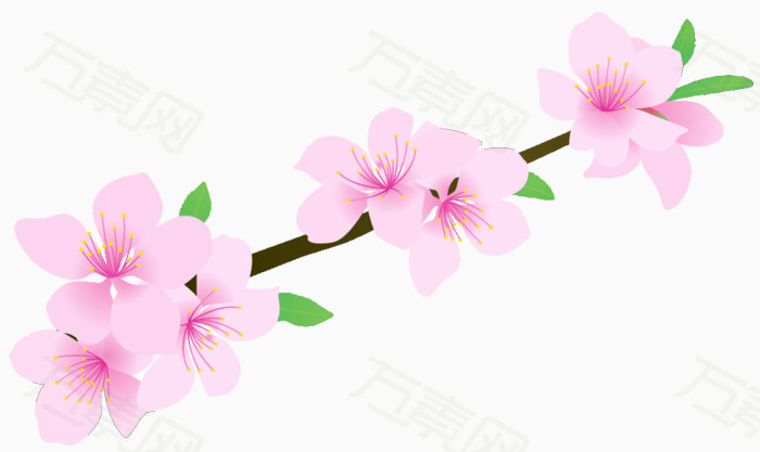 万素网 免抠元素 其他 桃花  万素网提供桃花png设计素材,背景素材