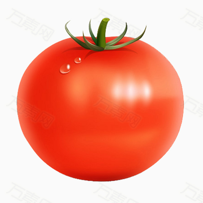 西红柿 番茄 蔬菜      