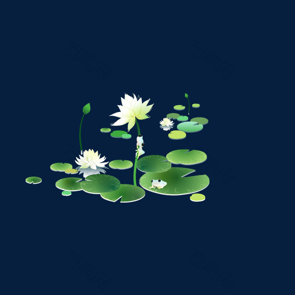 中国风荷塘荷花风景png