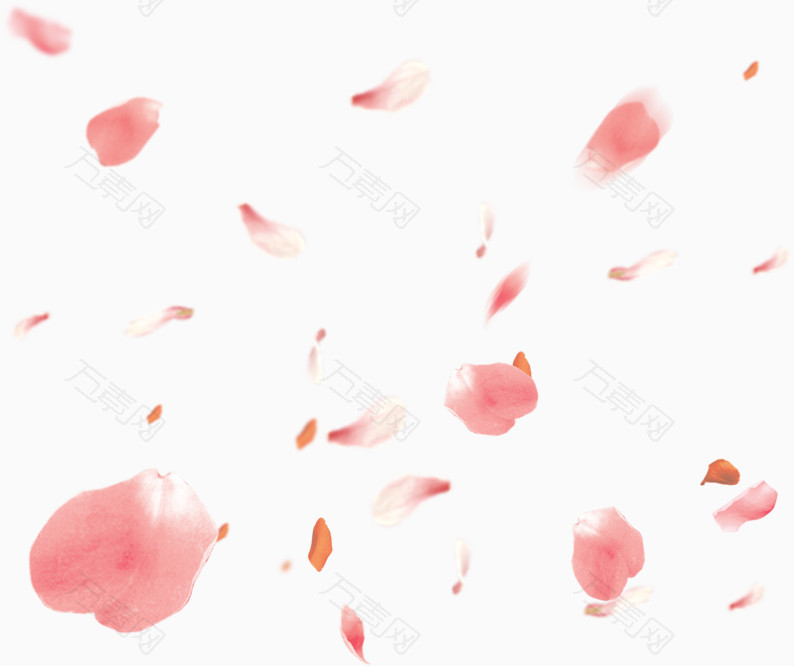 粉红色飘落花瓣
