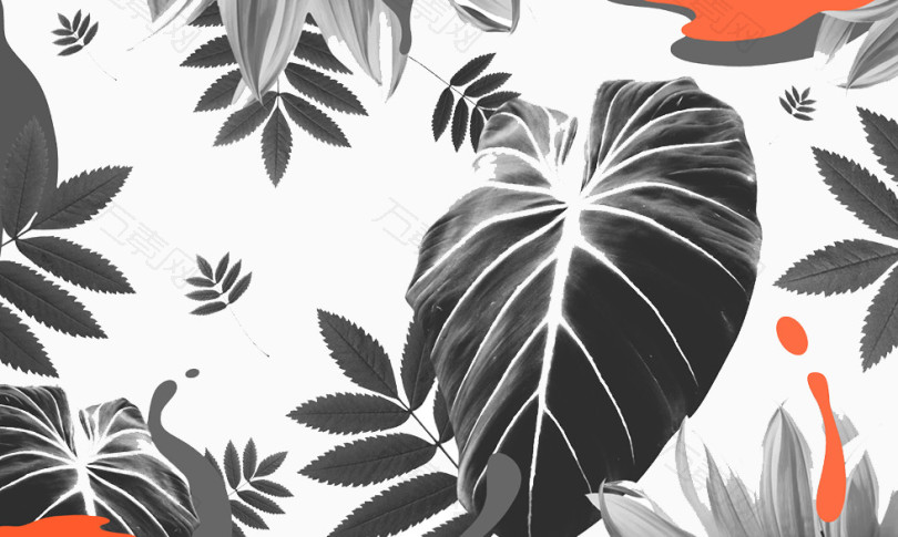 素描树叶