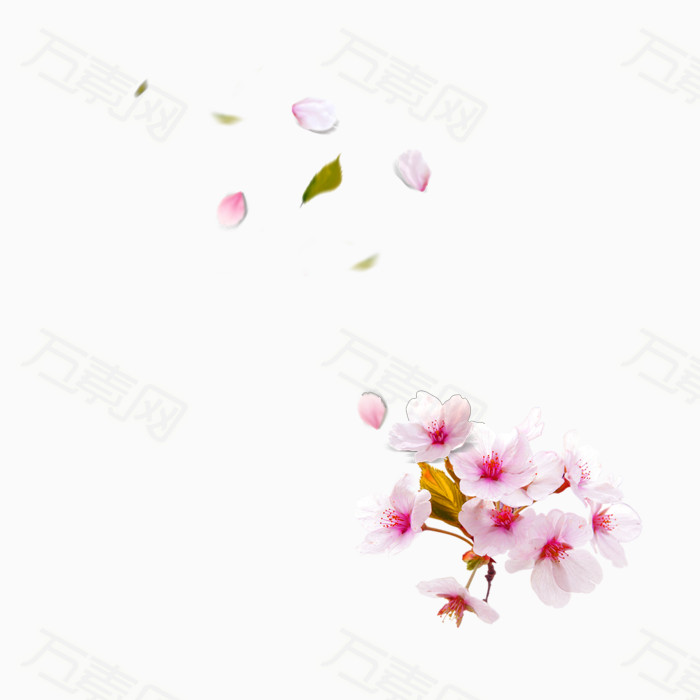 粉色花 花枝 一丛花 PNG    