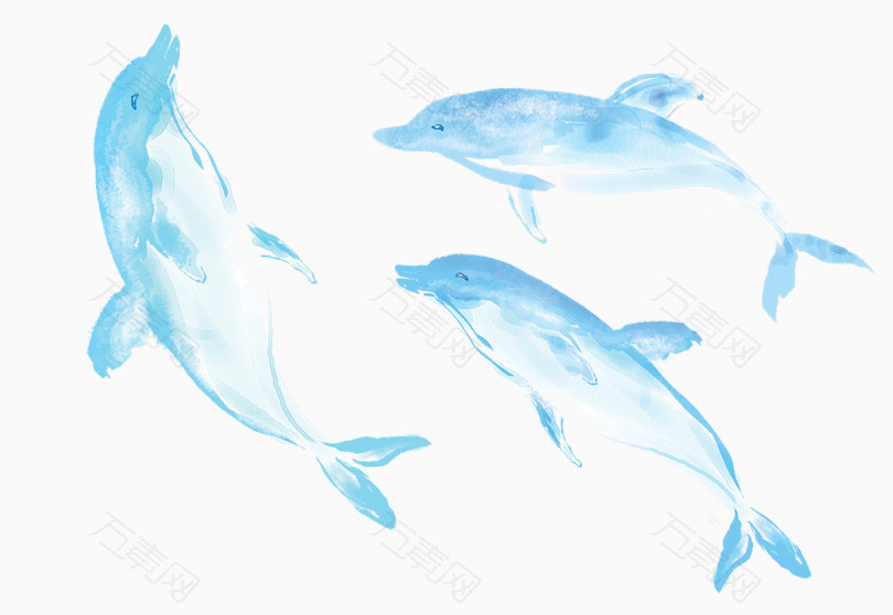 手绘蓝色海豚