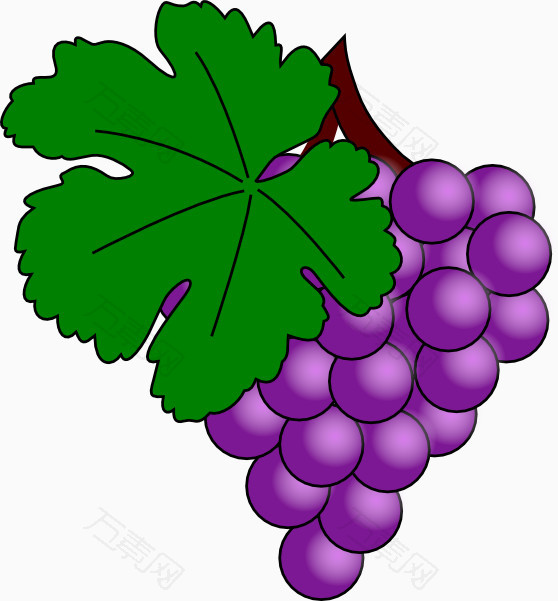 紫色葡萄